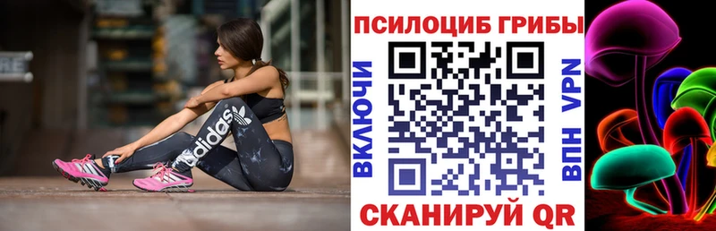 мега вход Ртищево Галлюциногенные грибы MAGIC MUSHROOMS
